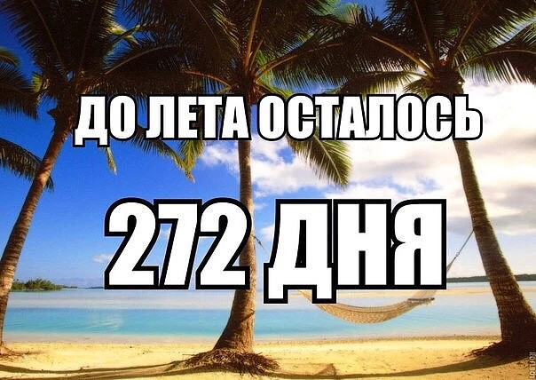 1 сентября. Здравствуй школа)))