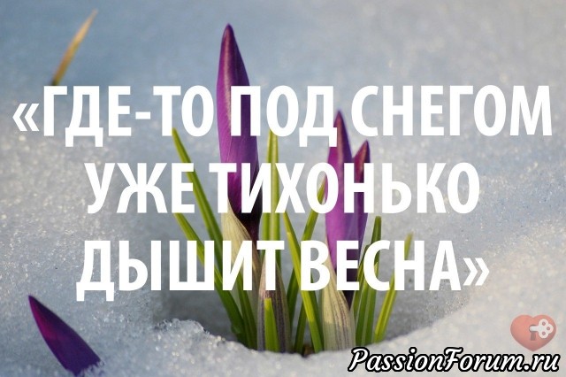 01.02..зима. +5..