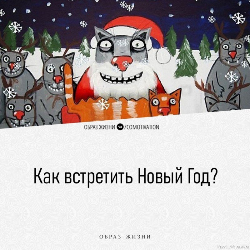 Как встретить Новый Год?