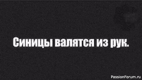 Что в твоей голове..