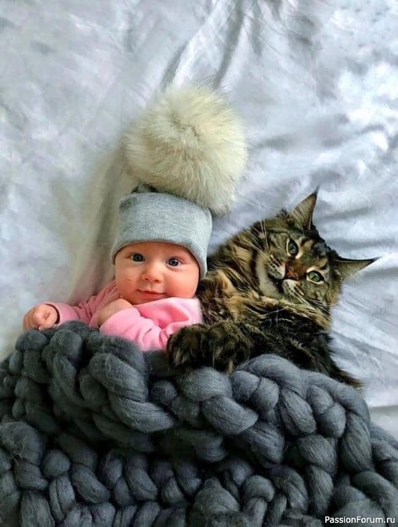 Малыш и кот