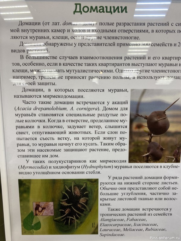 Ботанический сад Петра Великого