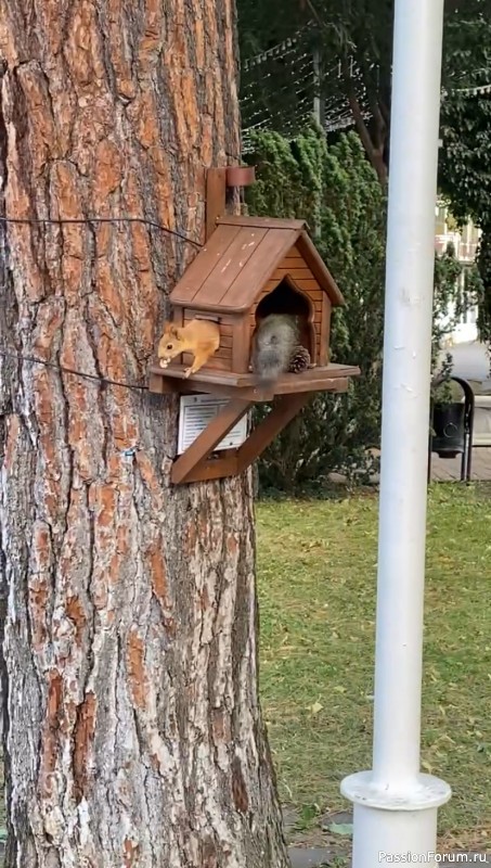 Ботаническая прогулка по Геленджику