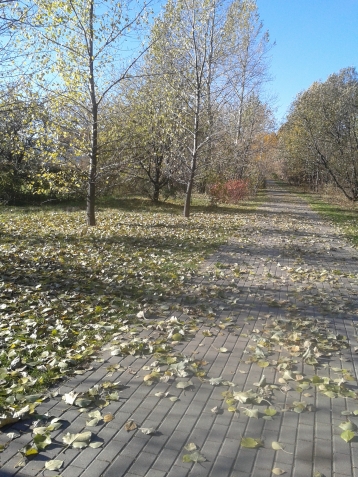 Раздаю всем солнце (осенняя прогулка часть 2)