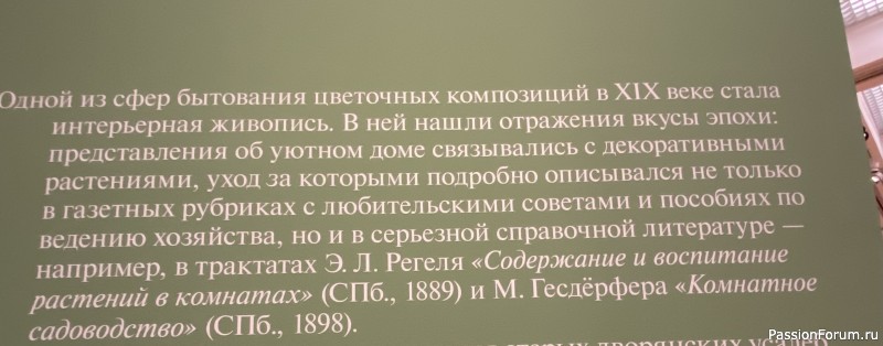 А мы опять с Наташей погуляли