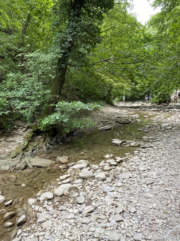 Ботаническая прогулка по Геленджику