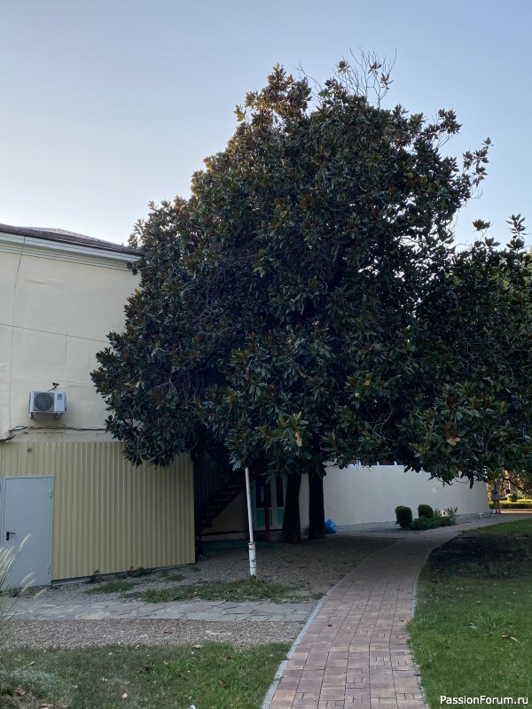 Ботаническая прогулка по Геленджику