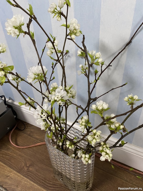 Маска, я тебя знаю или &hellip;. ?