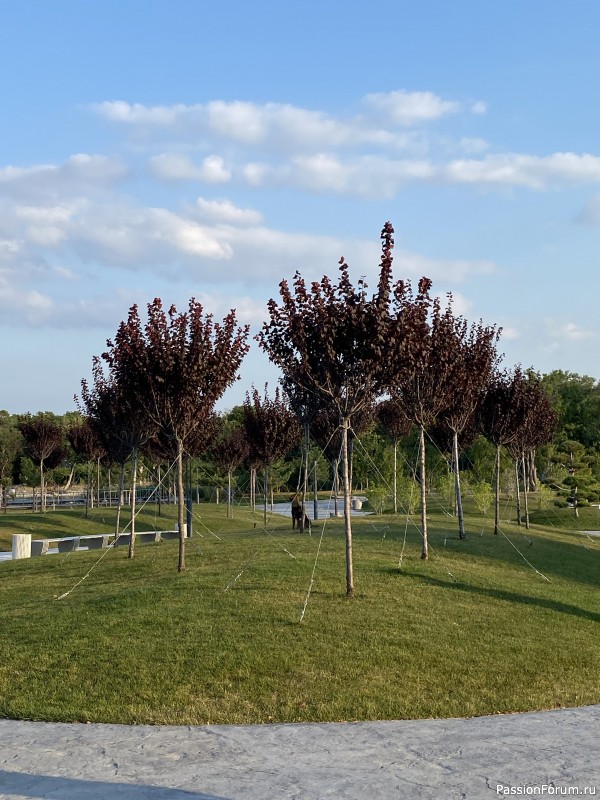 Ботаническая прогулка по Геленджику