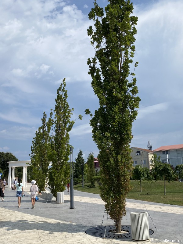 Ботаническая прогулка по Геленджику