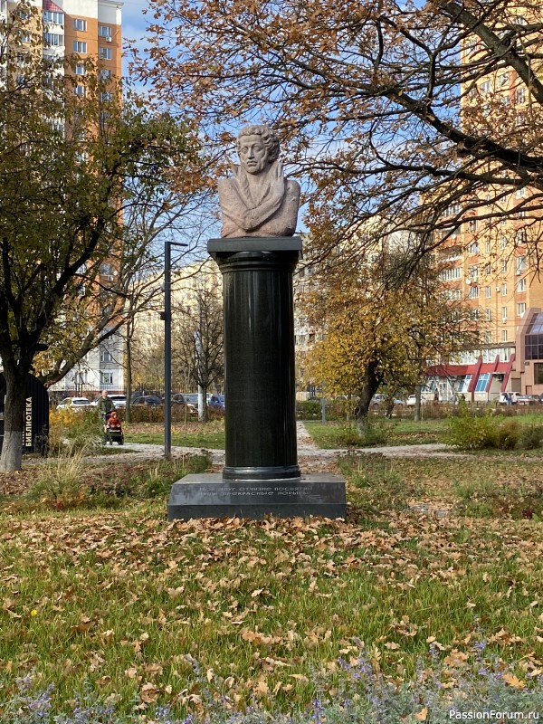 Наша поездка в Подольск