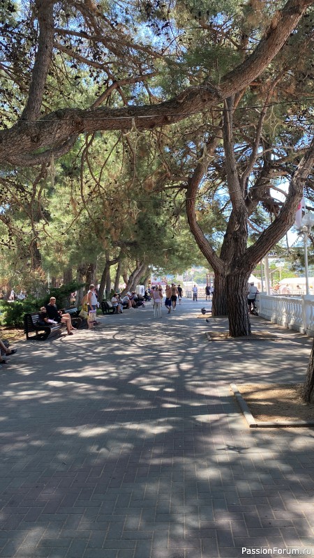 Ботаническая прогулка по Геленджику