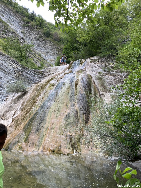 Ботаническая прогулка по Геленджику