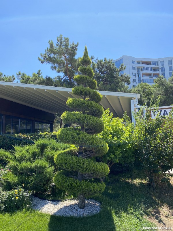 Ботаническая прогулка по Геленджику