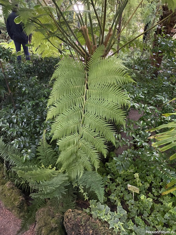 Ботанический сад Петра Великого