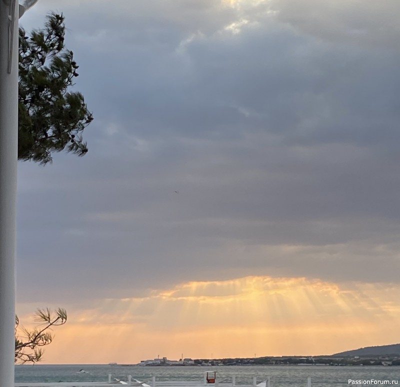 Ботаническая прогулка по Геленджику