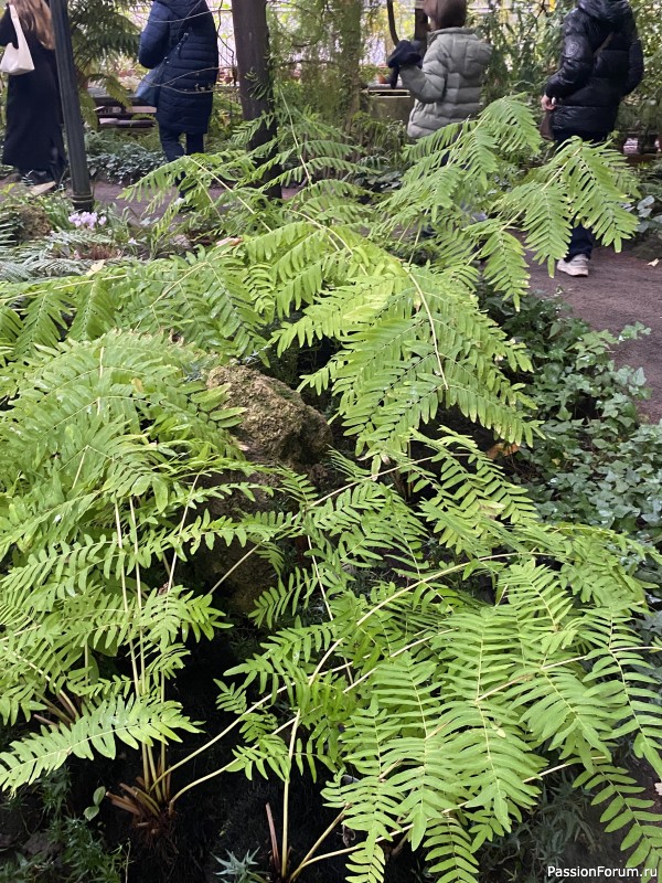 Ботанический сад Петра Великого