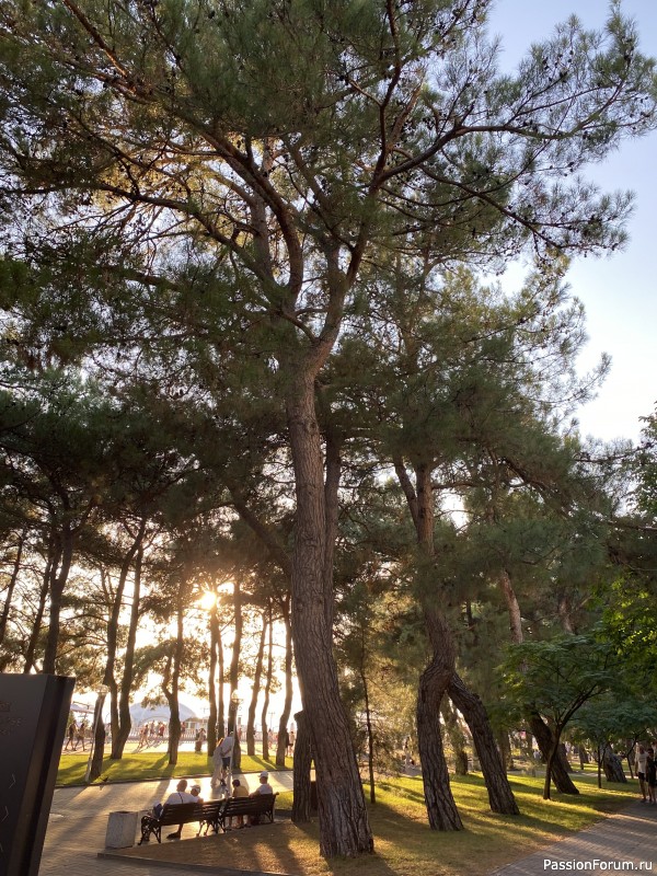 Ботаническая прогулка по Геленджику