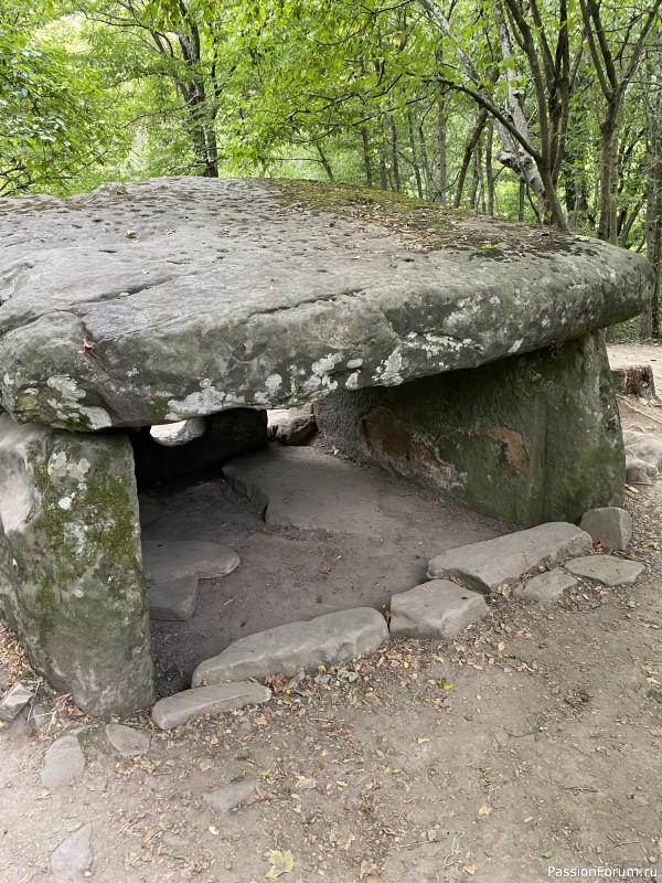 Ботаническая прогулка по Геленджику