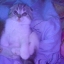 Косточка (Елена)