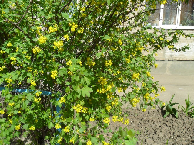 Прогулка по весеннему городу