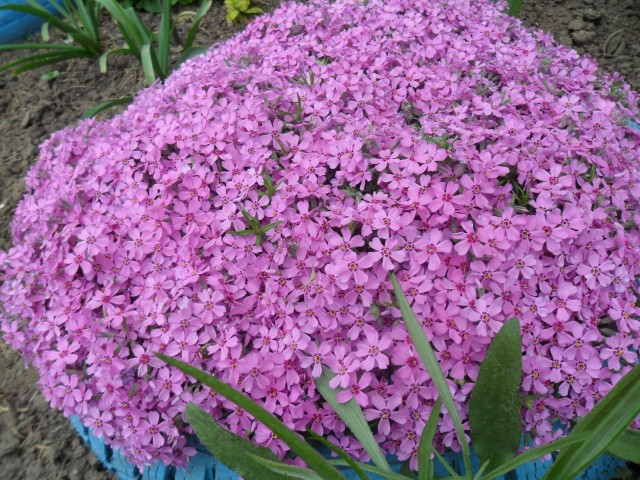 Прогулка по весеннему городу