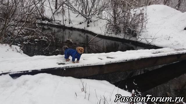 Январская прогулка