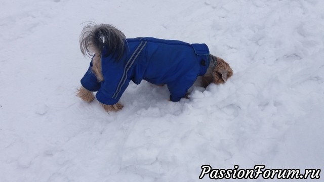 Январская прогулка