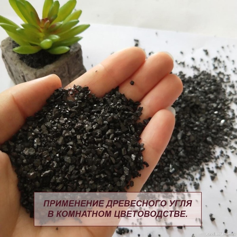 Дачникам. Древесный уголь в цветоводстве