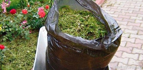 Дачникам. Натуральное удобрение из травы