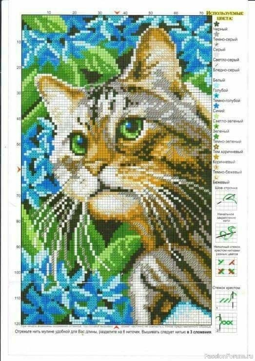 Котики. Схемы для вышивки крестом