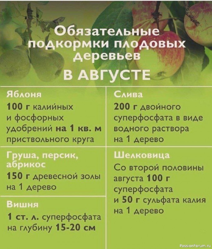 Дачникам. Подкормки плодовых деревьев в АВГУСТЕ
