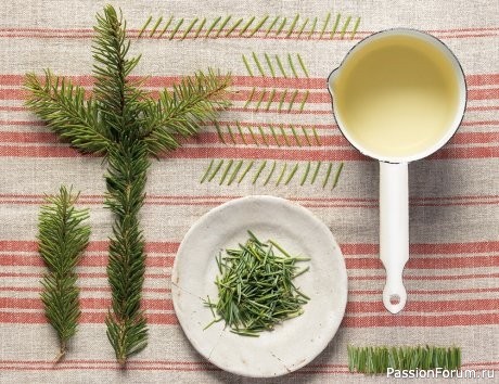 Дачникам. Эффективные и натуральные способы избавиться от тли