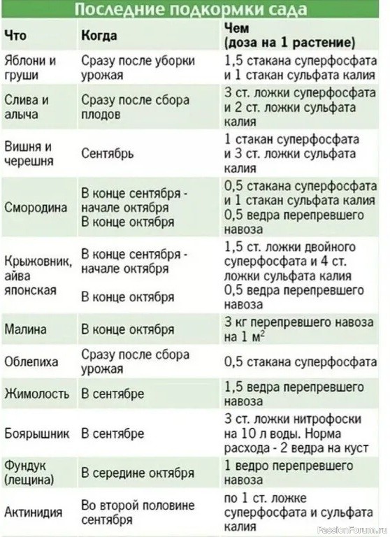 Дачникам. Последние подкормки сада