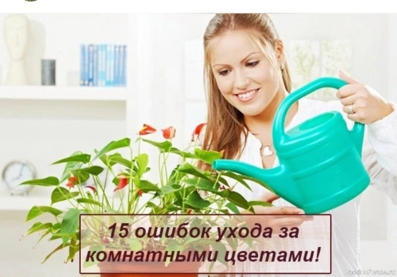 15 ошибок ухода за комнатными цветами!