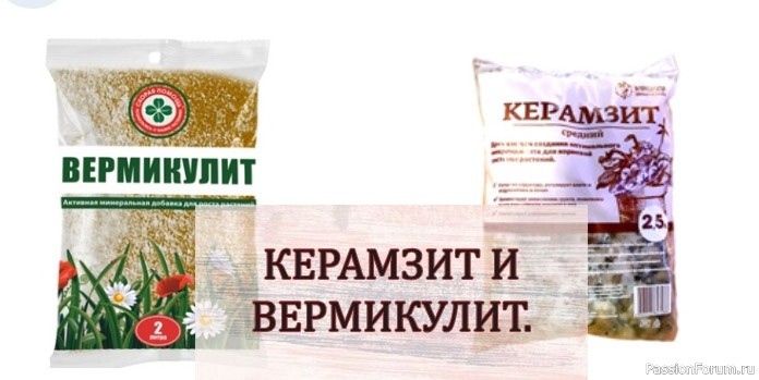 Керамзит и вермикулит. Почему они ВАЖНЫ для комнатных растений?