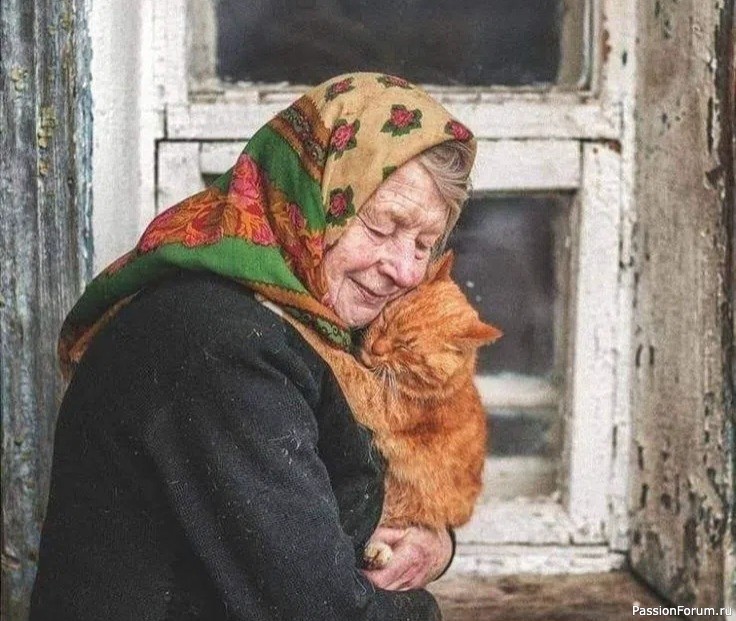 "Ей не с кем oставить кoта" В.Буткo