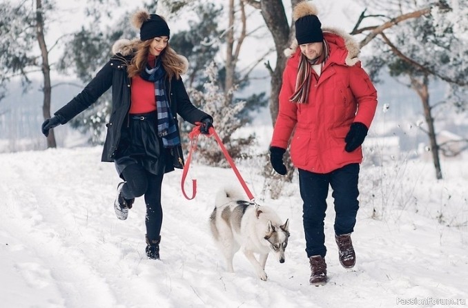 Почему зимой нужно менять режим выгула и питания питомца Почему зимой нужно менять режим выгула и питания питомца