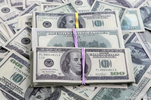 Хозяину убитой полицейским слепой собаки в США присудили $500 тысяч