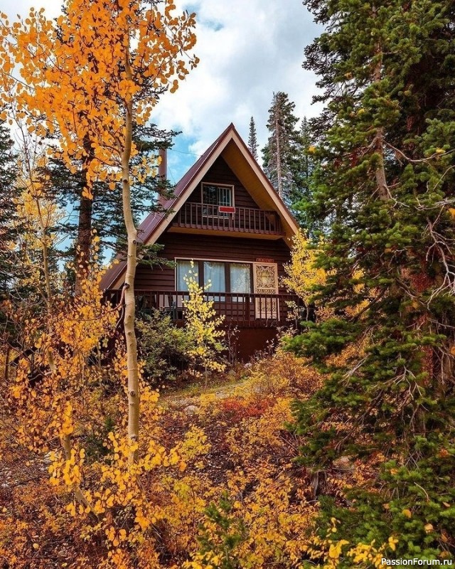 "Мужчина - гость в доме своей жены" "Мужчина - гость в доме своей жены"