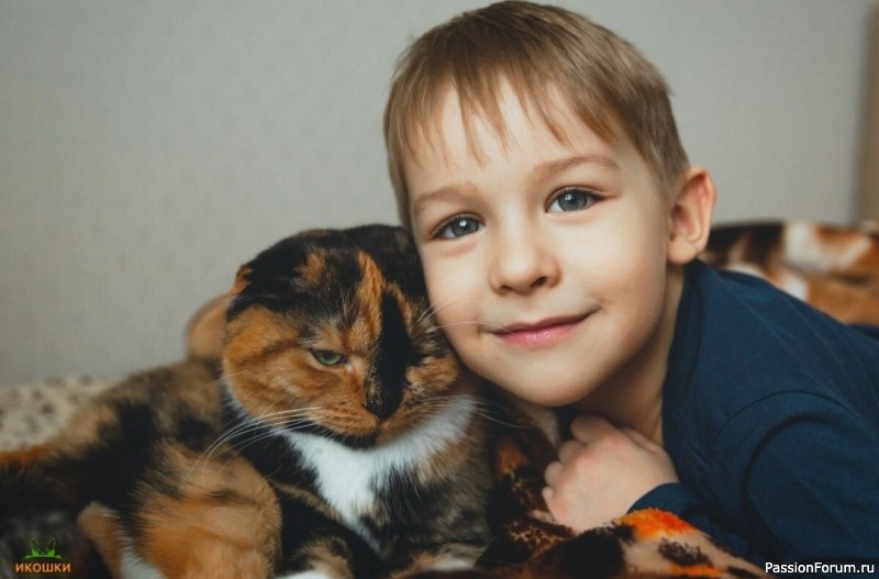 Почему мы хотим завести кошку — 9 откровений, которые объясняют нашу привязанность