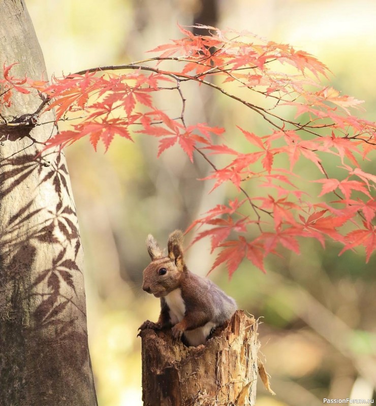 "Можно жить c удовольствием". Д.Фостер "Можно жить c удовольствием". Д.Фостер