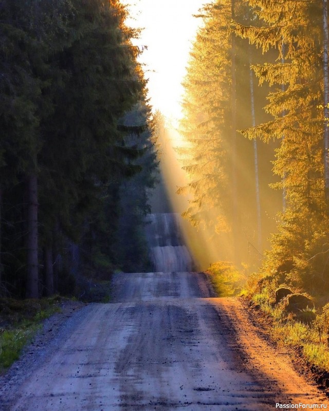 16 ВАЖНЫХ ВЕЩЕЙ, КОТОРЫМ УЧИТ ДЕПРЕССИЯ