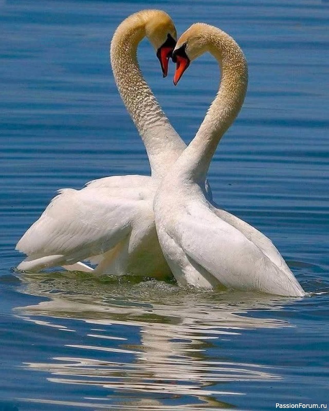 Маленькие секреты взаимоотношений