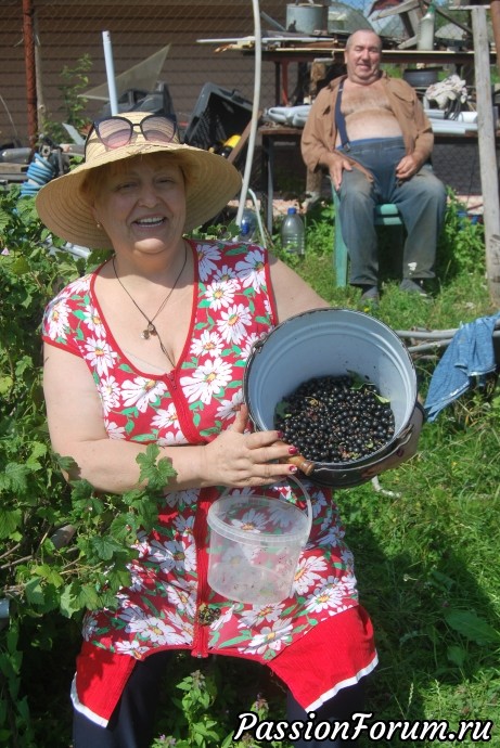 урожай урожай