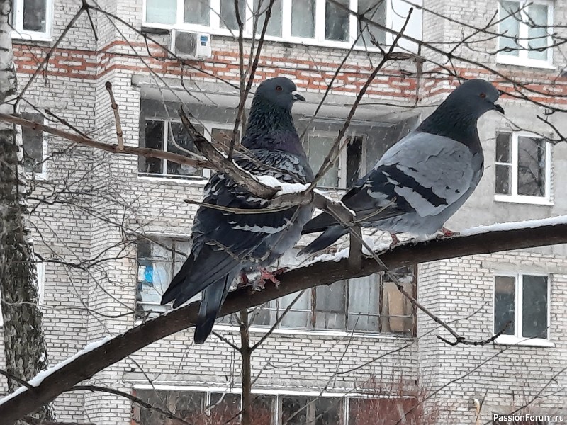 Мои работы: пинетки номер два "НОВОГОДНИЕ"