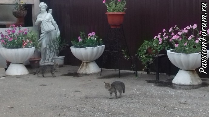 Вот и лето на закате... Вот и лето на закате...