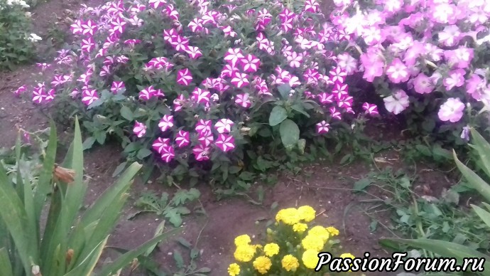 Вот и лето на закате... Вот и лето на закате...