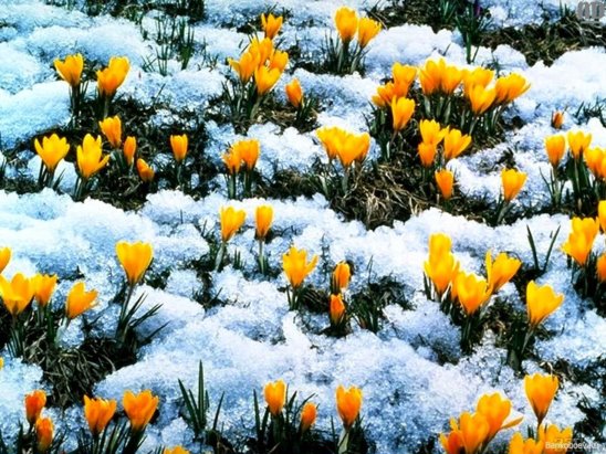 Фото, которые не оставили равнодушной.