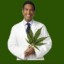 Dr Feel Good Weed Delivery DC (drfeelgoodweeddeliverydC)
